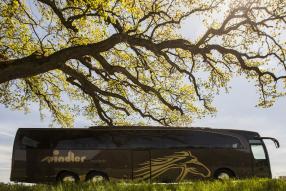 Mercedes-Benz Travego M Spindler
