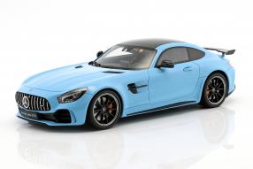 Mercedes-AMG GT R 2017 1:18