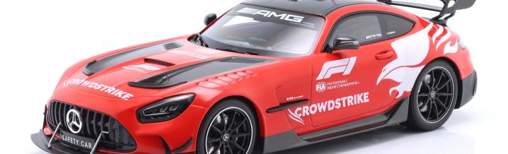 Indispensable for the Formula 1: The Safety-Car